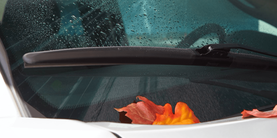 Windshield Wiper Safety: The Ins & Outs of What to Look For In New  Windshield Wiper